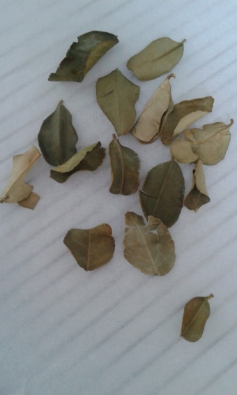 feuilles de cumbawa séchées